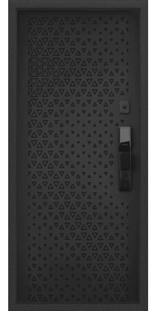 Дверь Cyber Pro CBR-20 Черная шагрень